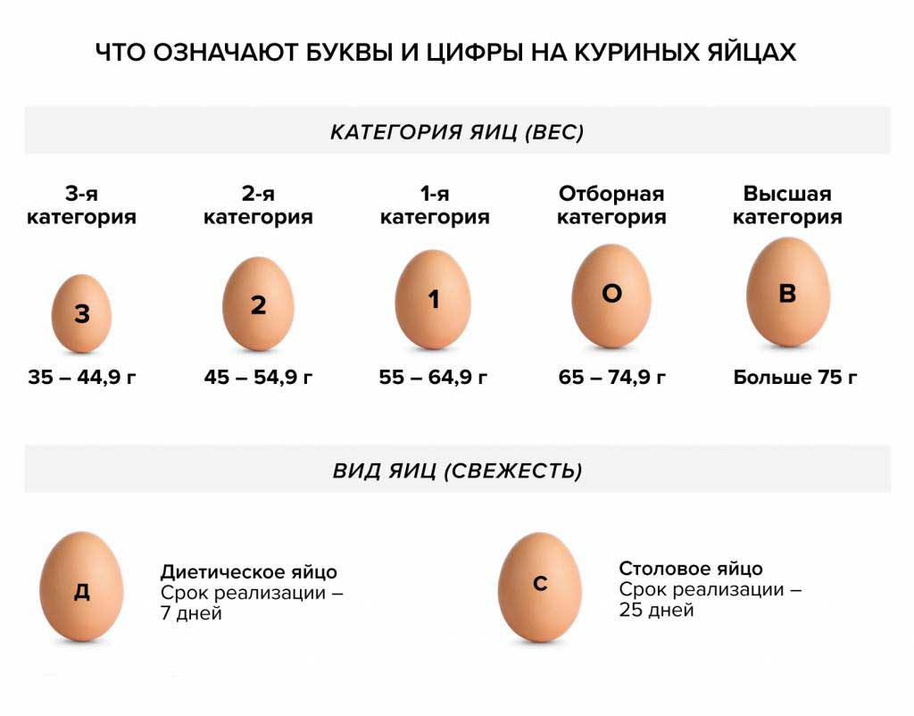 Виды куриных яиц