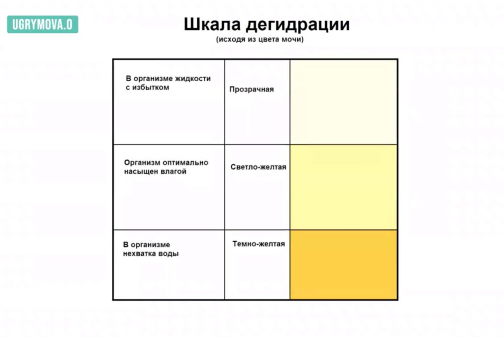 мониторинг здоровья детей по шкале мочи