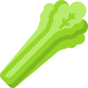 сельдерей
