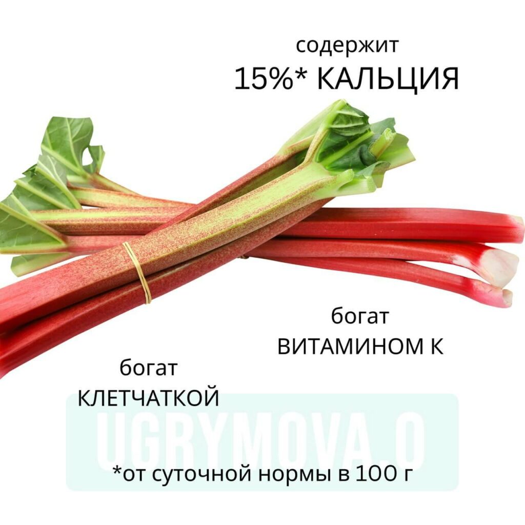 чем полезен ревень