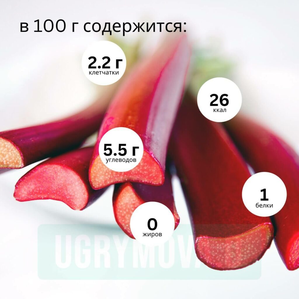 ревень свойства и что содержит