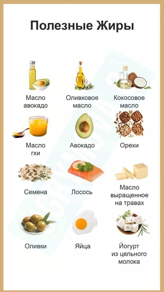 источники полезных жиров для организма