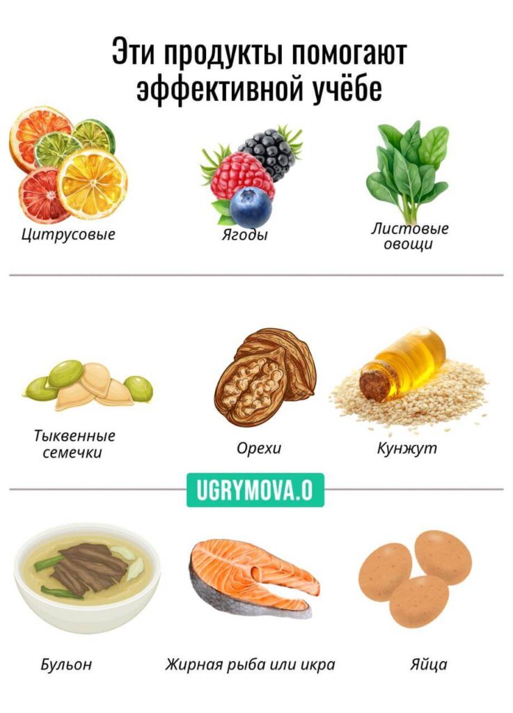продукты полезные для мозга и памяти