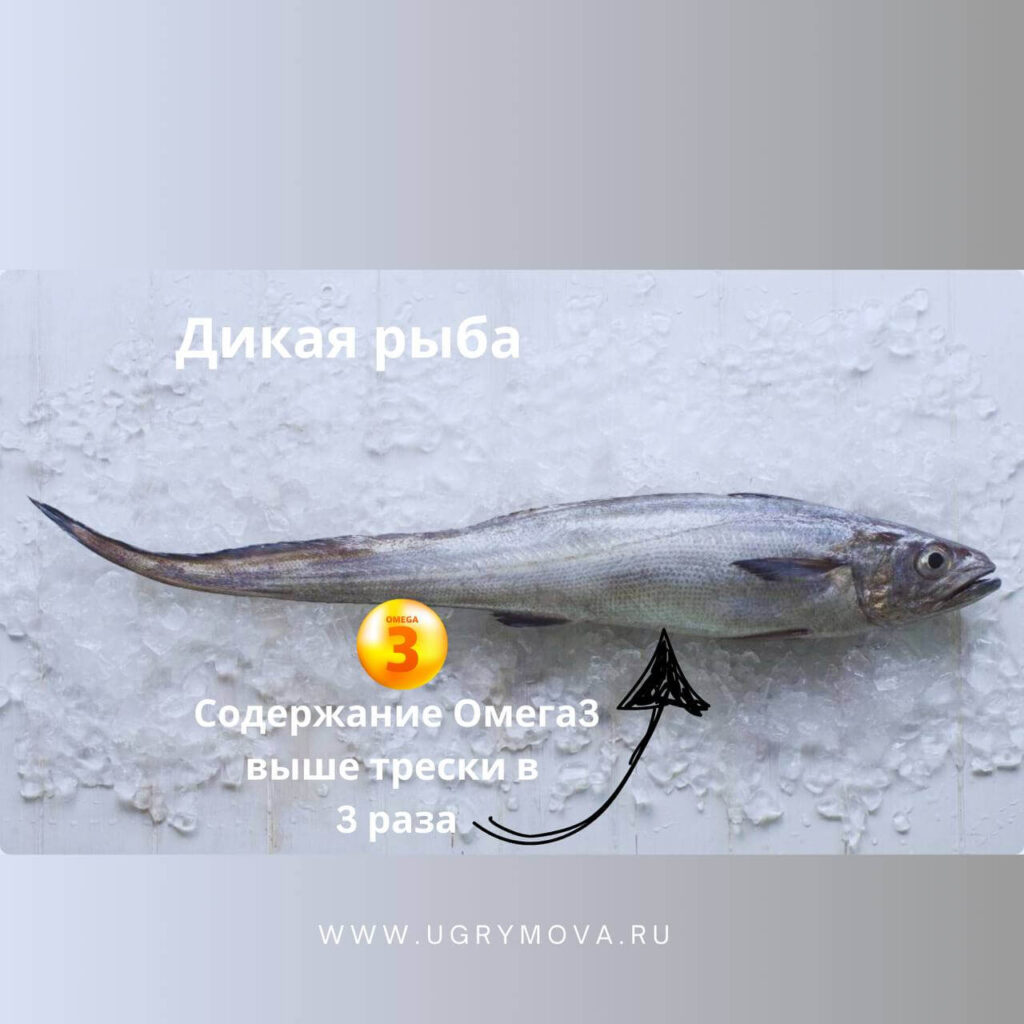 новозеландский макруронус или рыба хоки польза