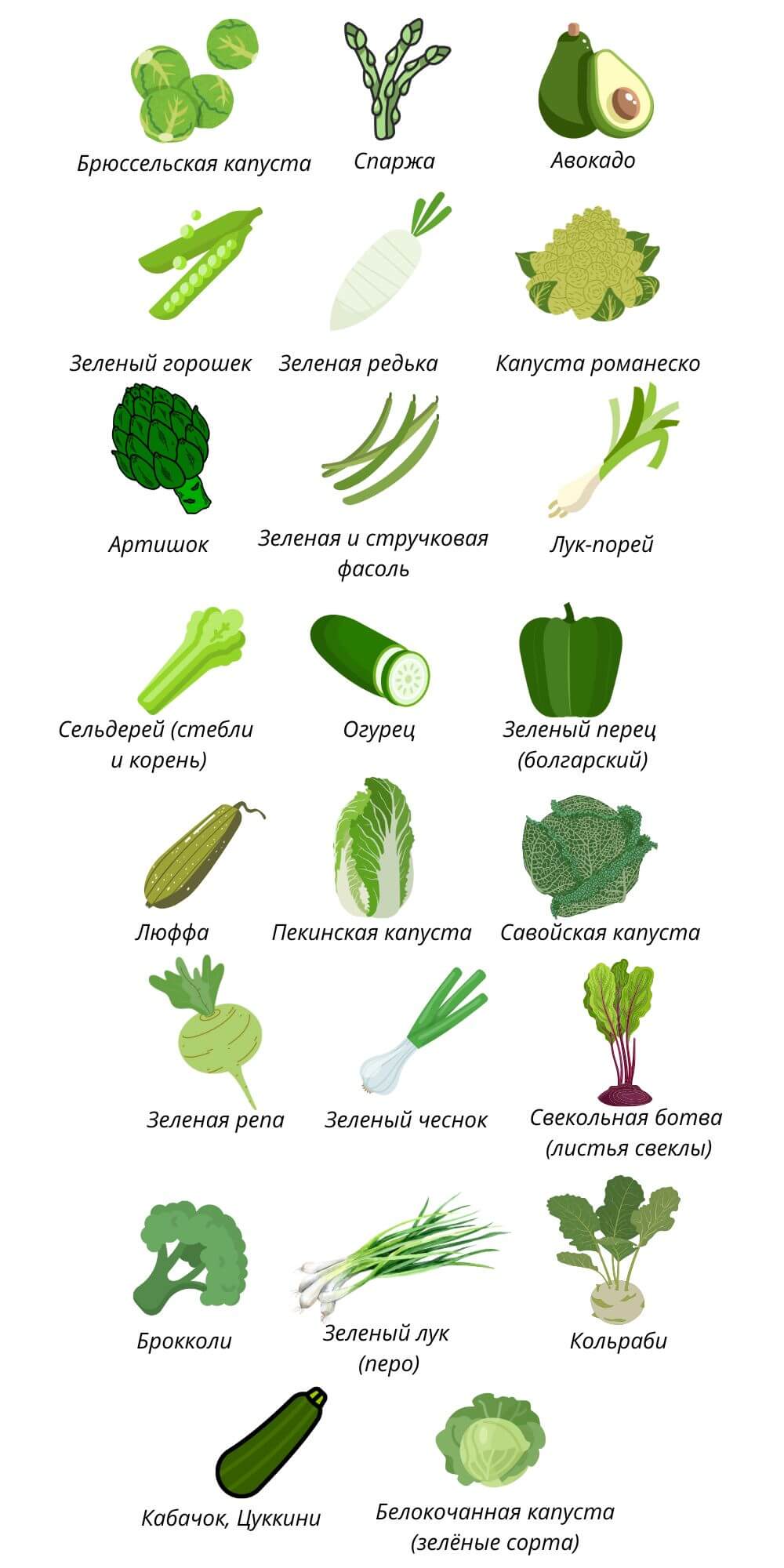 овощи зеленых цветов